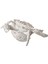 Crab Beyaz Biblo 28X19X7CM 3