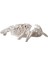 Crab Beyaz Biblo 28X19X7CM 4
