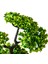 Dekoratif Saksılı Bonsai Meri Yapay Çiçek - Siyah / Yeşil - 20x20x36 cm 5