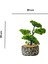 Dekoratif Saksılı Bonsai Meri Yapay Çiçek - Siyah / Yeşil - 20x20x36 cm 7