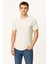 Erkek Reglan Oval Kesim Pamuk Yumuşak Dokulu Bisiklet Yaka T-Shirt 3