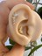 1 Adet Zirkon Taşlı Kıkırdak Helix Uyumlu Piercing 2