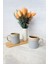 Shizen Gri Silindir Kupa 10 cm 2 Adet 613 5
