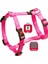Kilitli Göğüs Tasma Xl 90-120Cm Pembe 1
