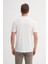 4204 Polo T-Shirt 2