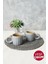 Shizen Gri Inci Kulplu Senta Kupa 8 cm 2 Adet 613 1