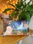 Kedi Desenli Süet Çift Taraflı Dijital Baskı Dekoratif Renkli Kırlent Kılıfı - 30 x 50 cm 1