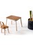 Montessori Deer Sandalye ve Hazneli Aktivite Masası 2