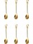 6'lı Golden Bloom Serisi 6'lı Çay Kaşığı Kalp Model 1