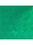 Winton Yağlı Boya 200ML Emerald Green 241 2