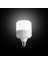 30W Smd LED Ampül E27 Duy 2700 Lm Günışığı Işık YL95-3001 1