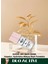 Spf 30 Ligunid Makeup Foundation 3