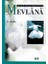 Bugünün Diliyle Mevlana 1
