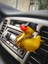 Araba Ac Izgarası Için Gangsta Ducky (Plastik Aparattır!!!) 2