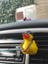Araba Ac Izgarası Için Gangsta Ducky (Plastik Aparattır!!!) 4