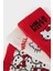 Kız Çocuk Hello Kitty 3'lü Pamuklu Uzun Çorap F6703A8NS 5