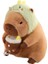 Kapibara Capybara Peluş Oyuncak Çocuk HEDII-30CM (Yurt Dışından) 1