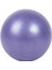 Mor Tarzı Fitness Aletleri Için Profesyonel Fiziksel Fitness Topu Egzersiz Dengesi Ev Eğitmeni Denge Bölmeleri Spor Salonu Pilates Mini Yoga Topu (Yurt Dışından) 1