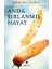 Anda Sırlanmış Hayat 1