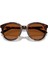 MK2227 300673 53 Unisex Güneş Gözlüğü 4