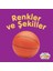 Renkler ve Şekiller - Mini Karton Kitaplar 1