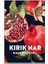 Kırık Nar 1