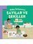 Bebek Britannica: Sayılar ve Şekiller (Ciltli) 1
