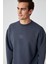 PLEMON Erkek Bisiklet Yaka Uzun Kol Baskı Detaylı Oversize Gri Sweatshirt 3