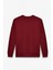 OLLIE Erkek Bisiklet Yaka Regular Uzun Kollu Nakış Detaylı Bordo Sweatshirt 3