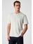 Solo Erkek Organik Pamuklu Kalın Dokulu Comfort Fit Bisiklet Yakalı Açık Bej T-Shirt 3