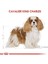 Royal Canin Cavalier King Charles Yetişkin Köpek Maması 1.5 kg 5