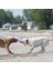 Safestix Termoplastik Köpek Oyuncağı Medium 51 Cm 3