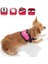 Karlıe Reflektörlü Göğüs Tasma S 36-46 Cm Pembe 1