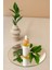 Gece Bakım Yağı / Cell Regenerator Facial Night Oil / Facial Yoga Oil 2