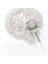 Perlinette Cat Adult Sensitive Hassas Kristal Kedi Kumu 1.5 kg 5