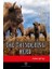 The Thundering Herd 1
