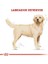 Royal Canin Labrador Retriever Yetişkin Köpek Maması 12 kg 3