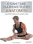 Esnetme Hareketleri Anatomisi 1