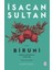 Biruni 1
