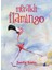 Meraklı Flamingo 1