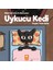Uykucu Kedi 1