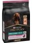 Pro Plan Adult Small Somonlu Yetişkin Köpek Maması 3 kg 2
