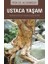 Ustaca Yaşam 1