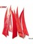 Turuncu Tarzı Inch Right Feather 9coloreld Turkey Feathers Arrow Feather Fletching Ahşapbambucarbon Arrow Okçuluk Için (Yurt Dışından) 3