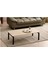 Erlik Orta Sehpa 120X60X35CM 5
