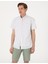 Erkek Haki Regular Fit Çizgili Kısa Kollu Gömlek 50307082-VR027 3
