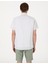 Erkek Haki Regular Fit Çizgili Kısa Kollu Gömlek 50307082-VR027 5