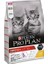 Pro Plan Kitten Tavuklu Yavru Kedi Maması 10 kg 1