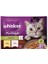 Whiskas Pouch Pure Delight Jöle Içerisinde Tavuklu ve Somonlu Yetişkin Konserve Kedi Maması 4 Adet 85 gr 1