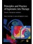 Principles And Practice Of Expressive Arts Therapy: Toward A Therapeutic Aesthetics 1